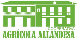logo allandesa