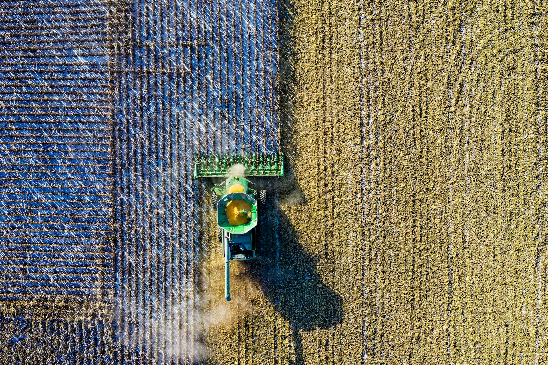 allandesa agricultura